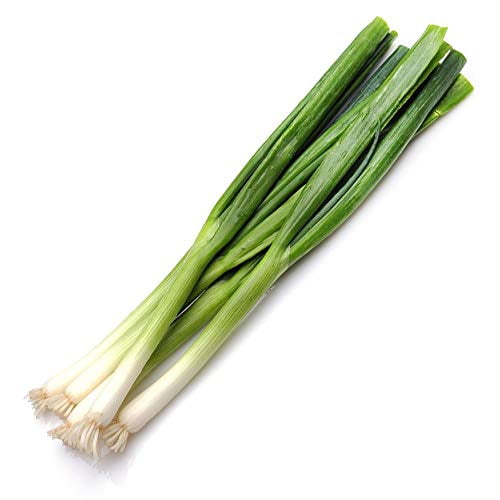 50 Seeds Organically Grown GREEN ONIONS Sweet White Heirloom